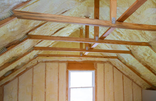 Best Local Insulation Services  in Forest Glen, MD